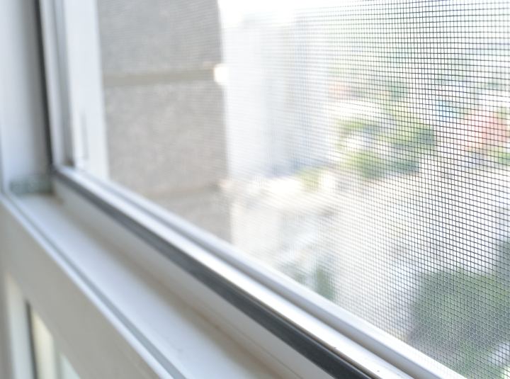 Sineklik: Evlerinizi Böceklerden Koruyun